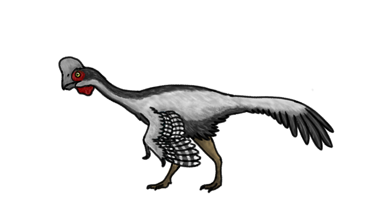 Male and female Oviraptor philoceratops digital illustrations of flightless birds on a white background