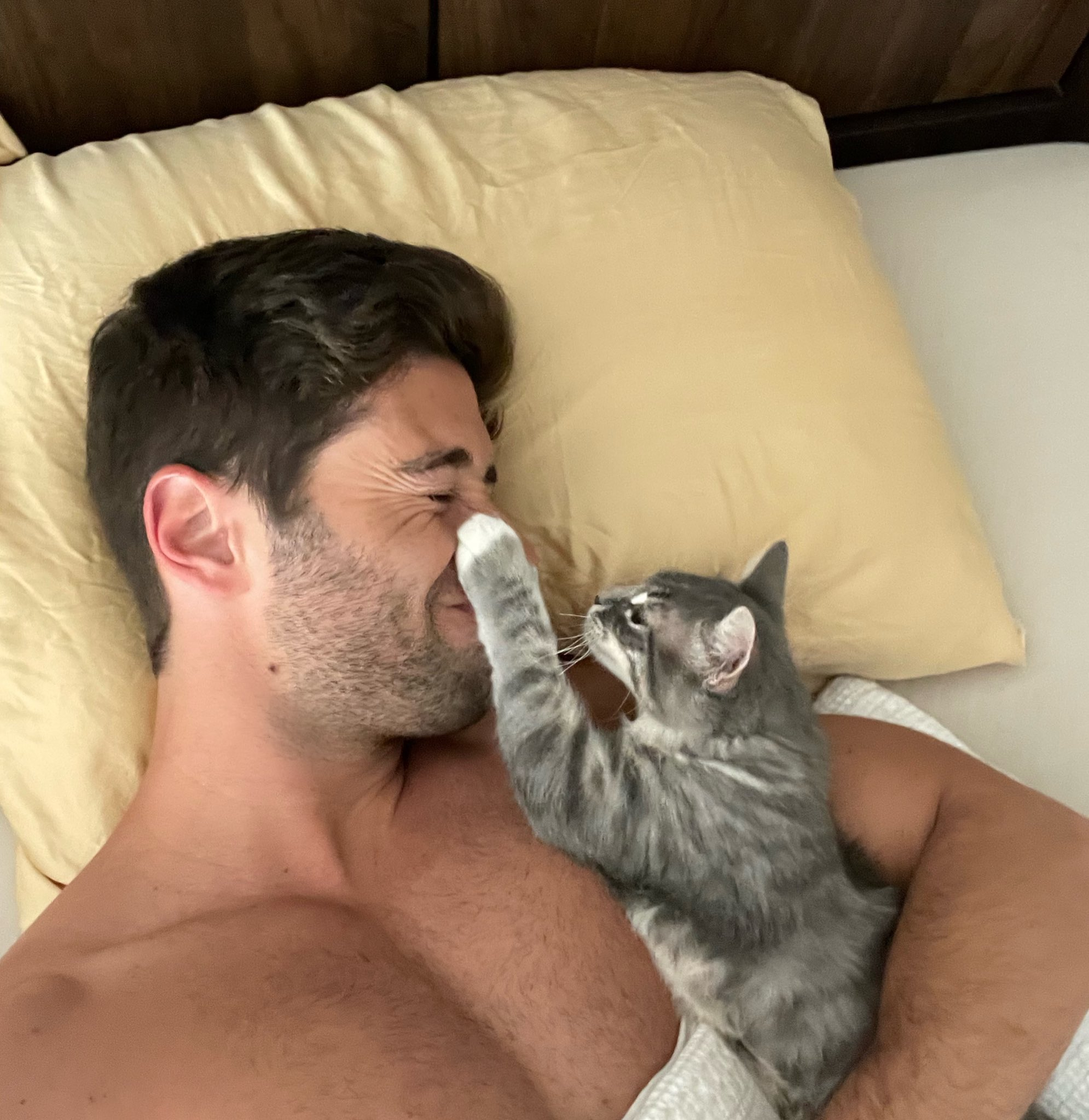 Jake Miller, a muscular shirtless white man, lying in bed cuddling a cute grey kitten.
