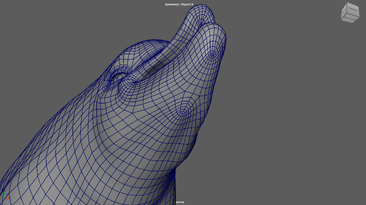 Fat dolphin model topology showing a 3D wireframe of a dolphin's head and upper body in Maya.