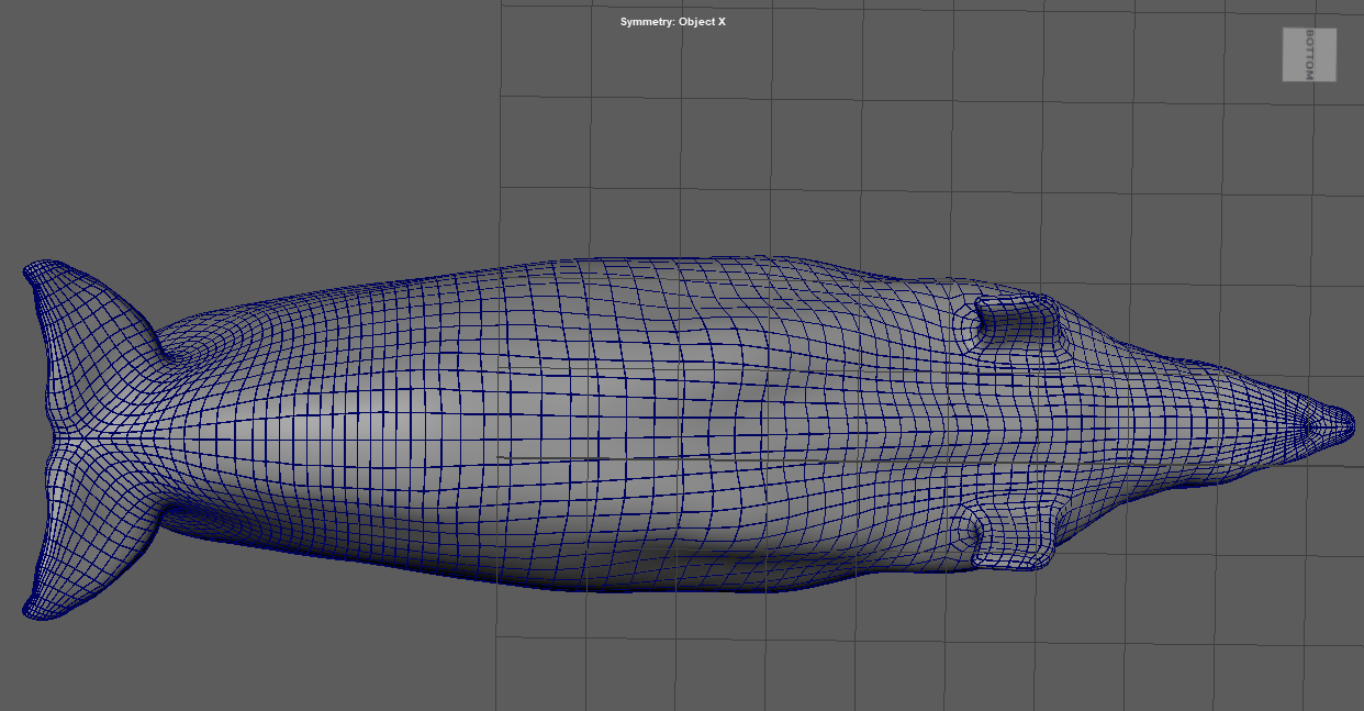 Fat dolphin model topology showing a 3D wireframe of a dolphin's head and upper body in Maya.