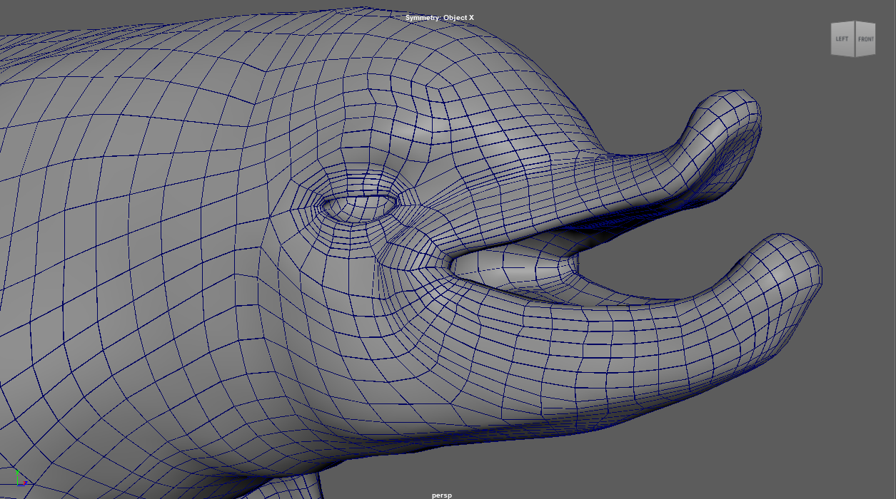 Fat Dolphin model topology