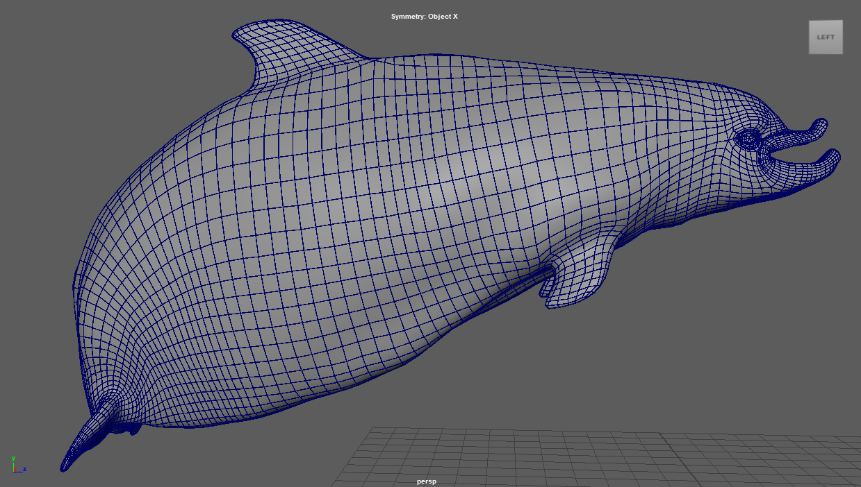 Fat dolphin model topology showing a 3D wireframe of a dolphin's head and upper body in Maya.