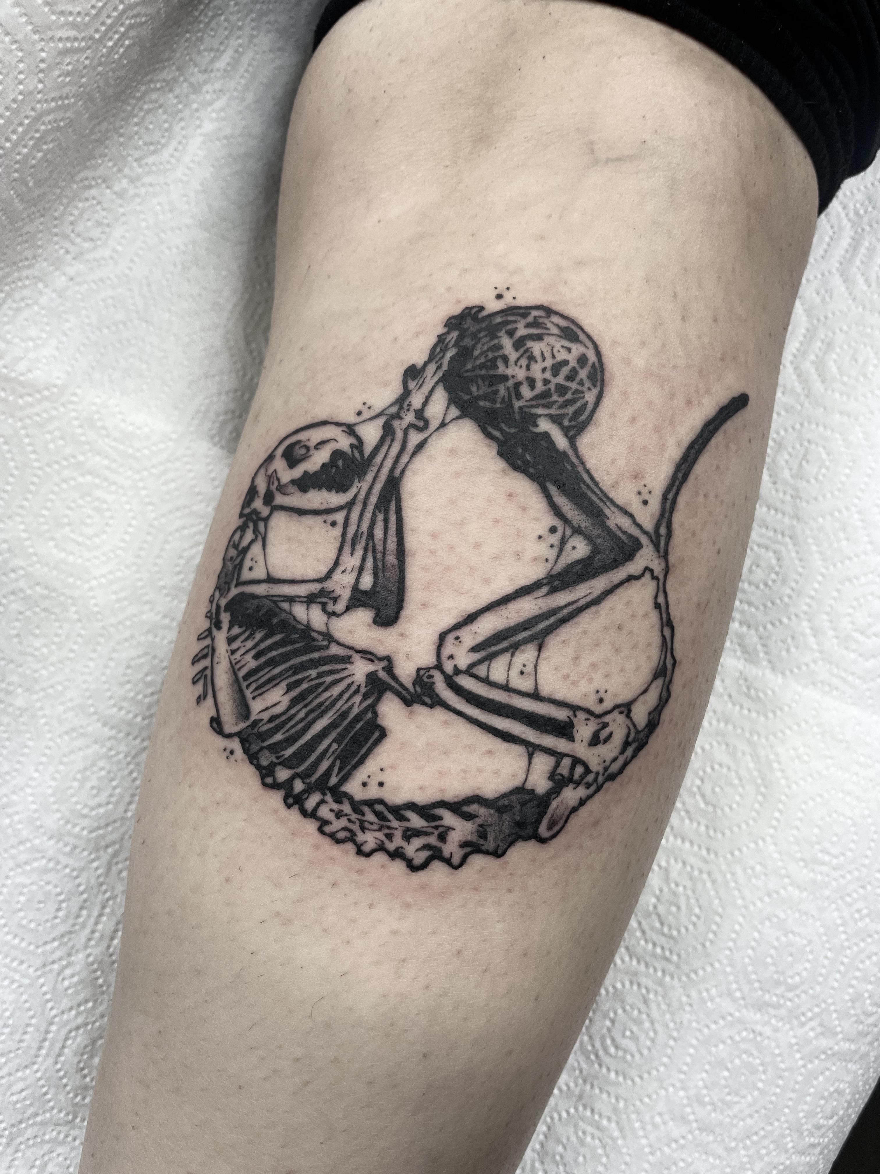 Cat skeleton tattoo by @johnnyxlit on a person's fair skin leg
