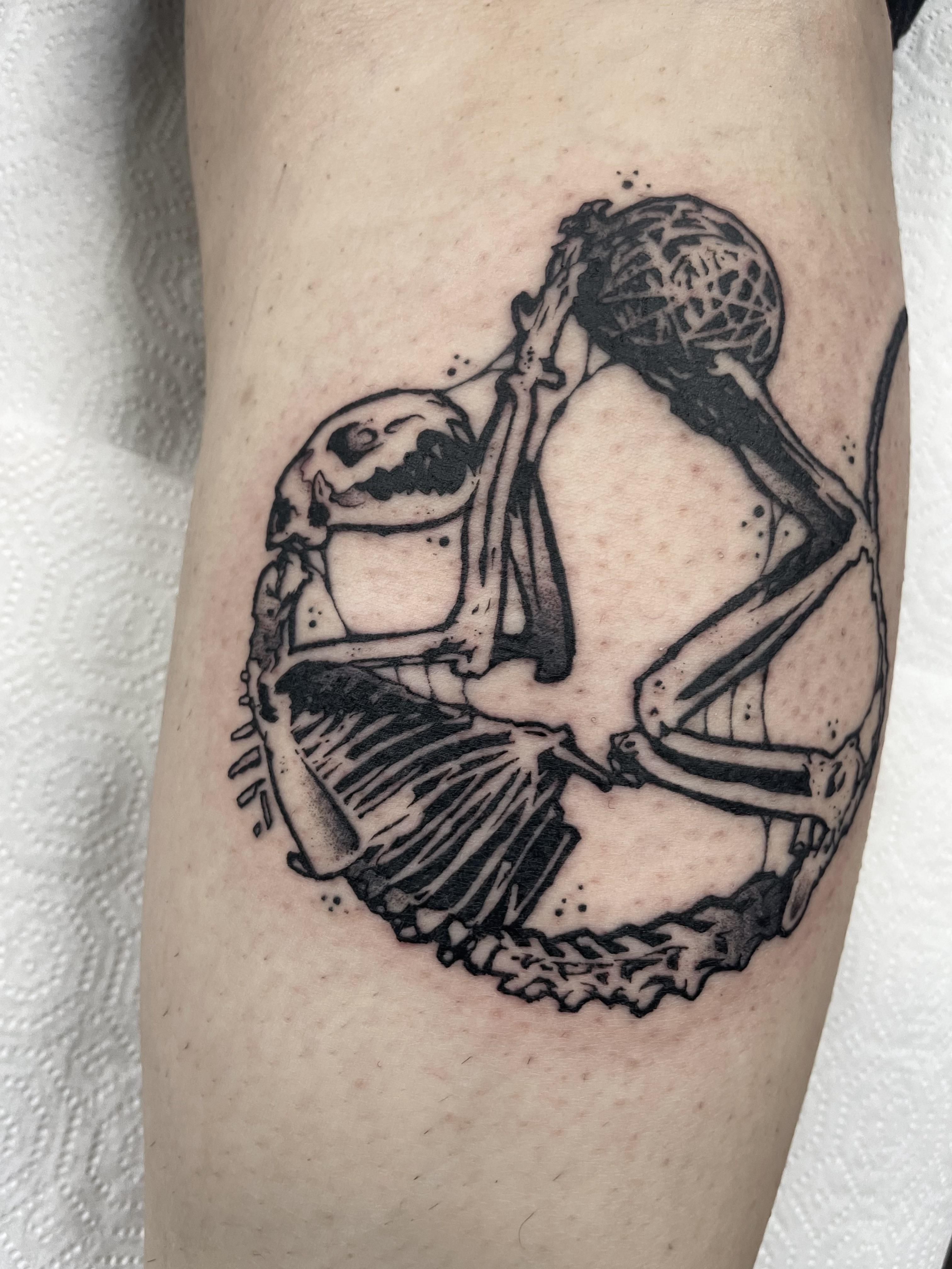 Cat skeleton @johnnyxlit Fullerton California