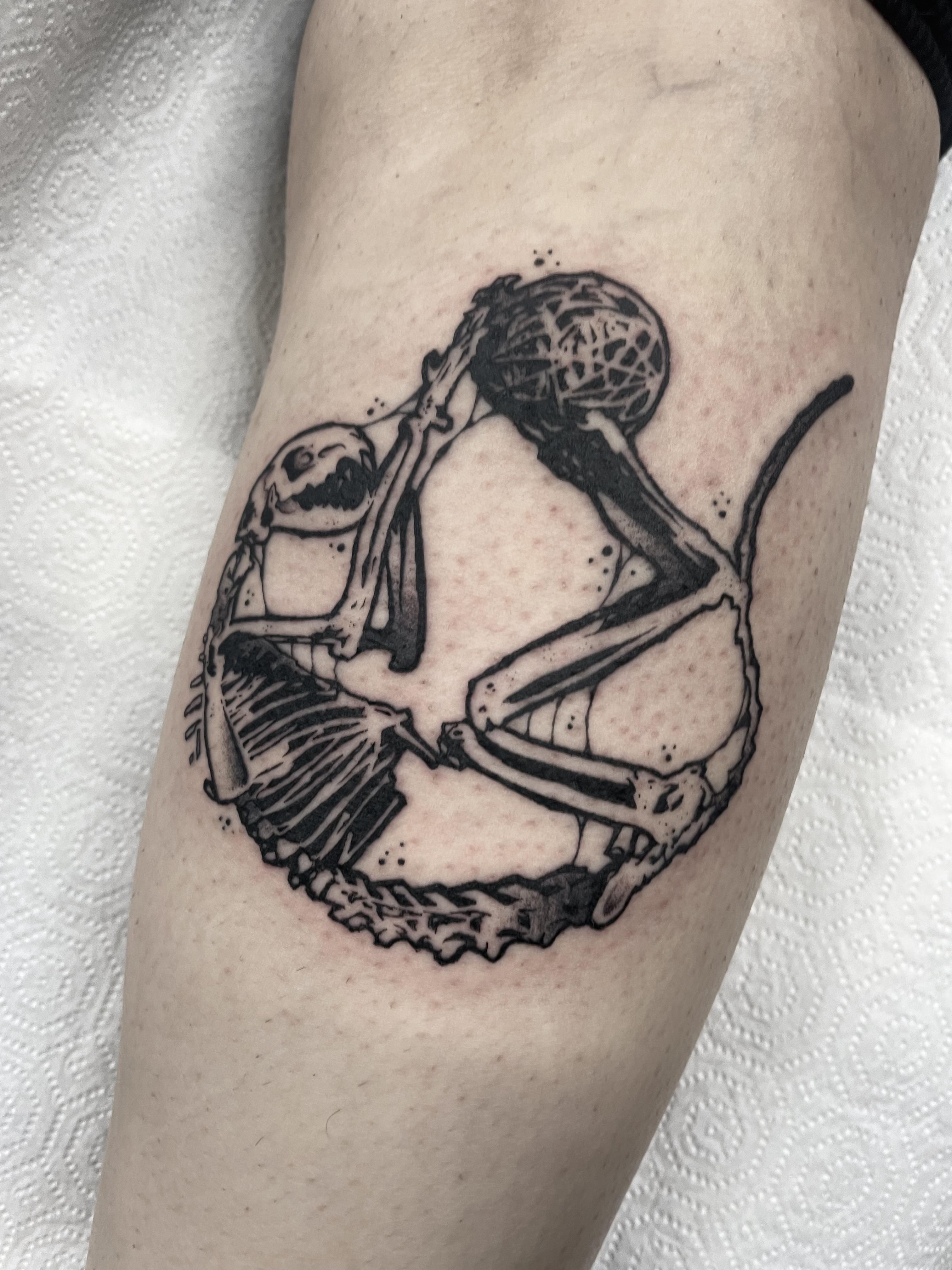 Cat skeleton tattoo by @johnnyxlit on a person's fair skin leg
