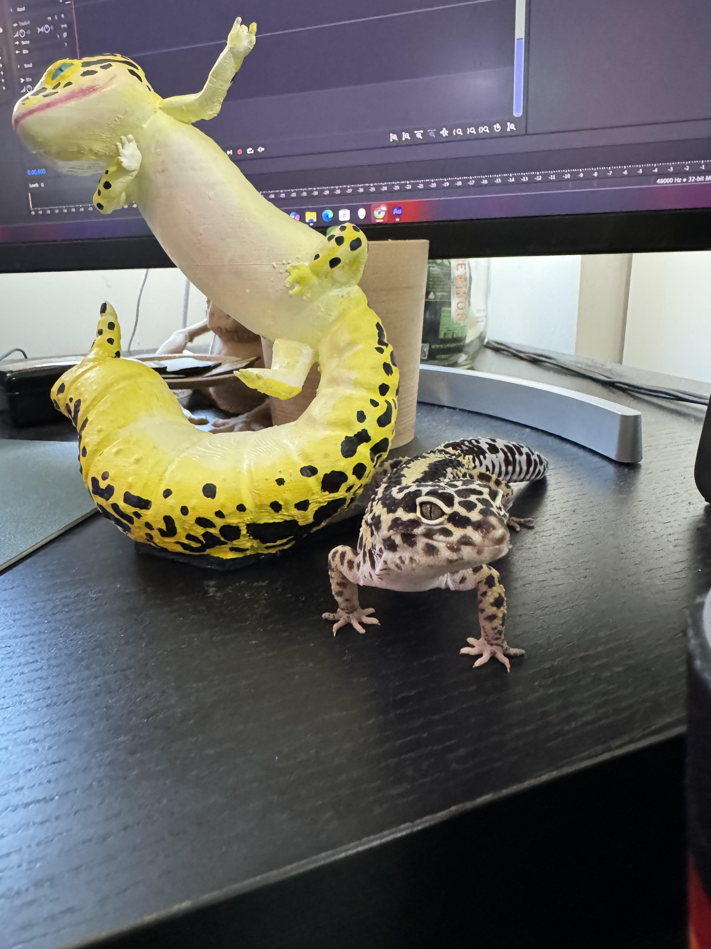 My leopard gecko and the 3D printed leopard gecko phone hold I designed ...
