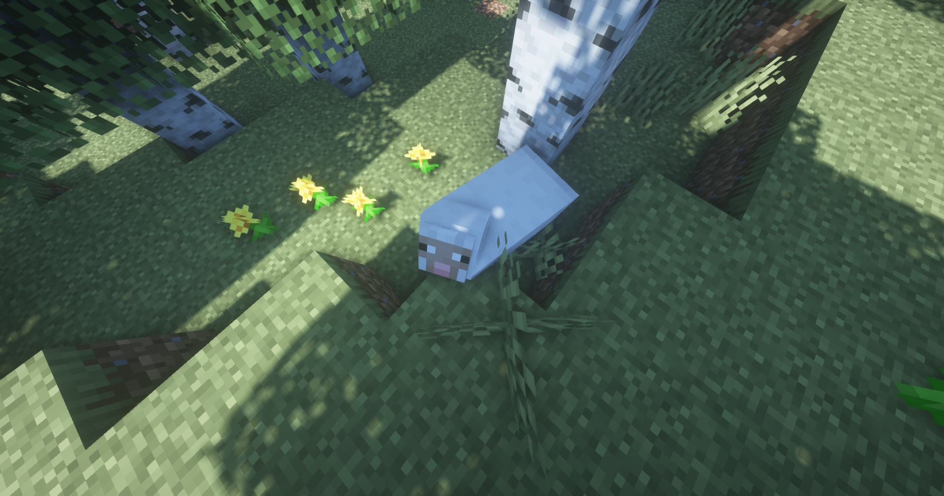 Recently I Started Using Shaders With Optifine For Now I Have Tested 