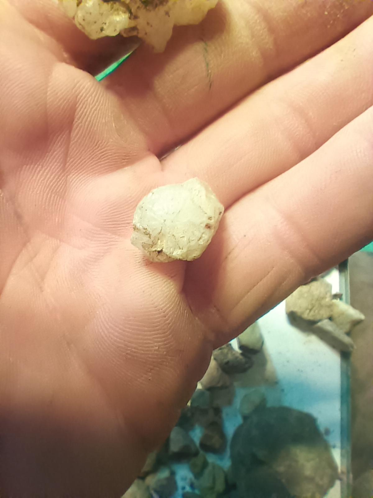 Scrolller Rocks What are these rocks | Scrolller