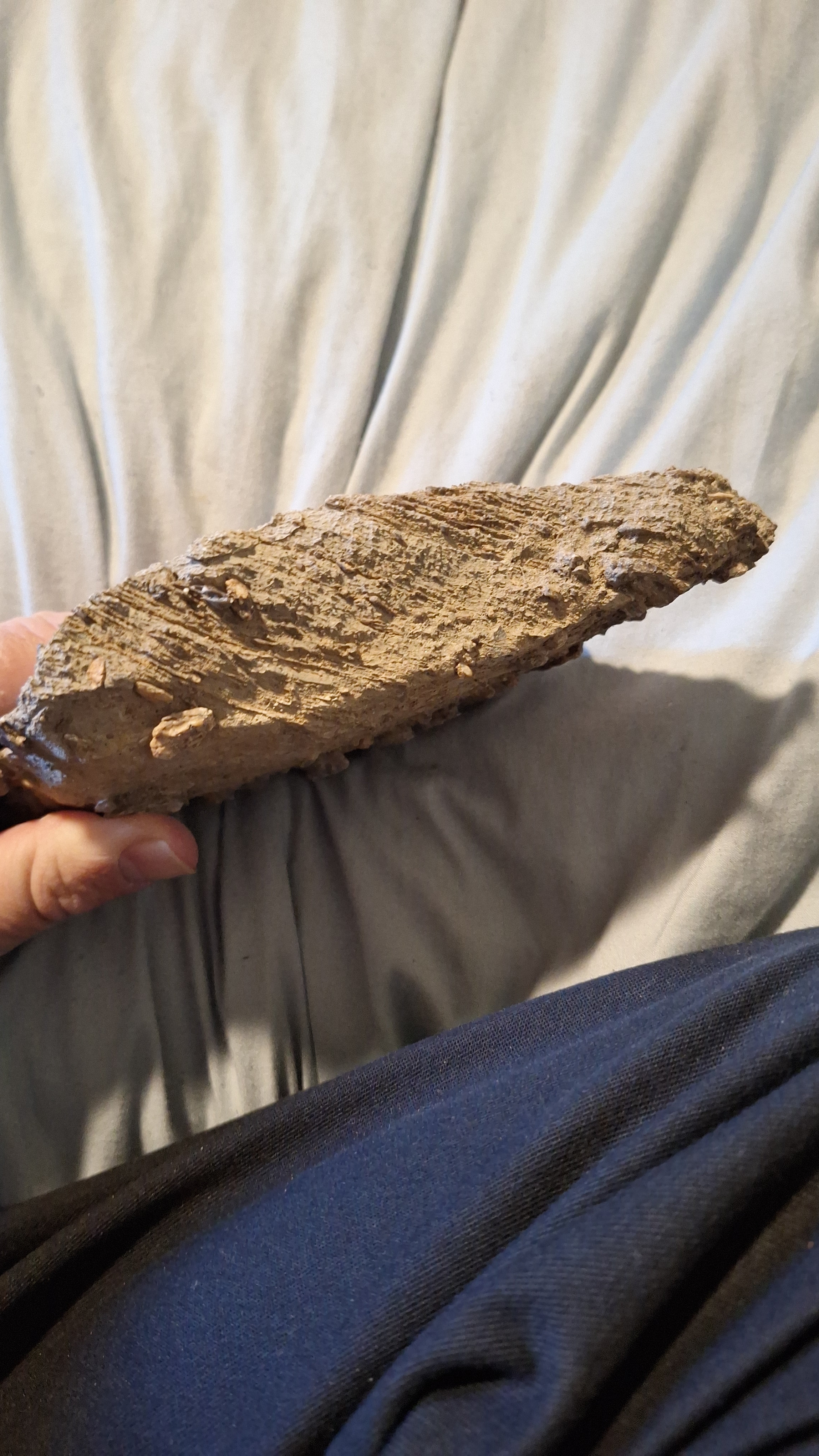 Scrolller Rocks What kind of rock is this? | Scrolller