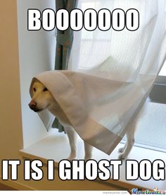 JOIN TEAM GHOST 👻 (plus extra super interesting images)