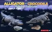 A cool guide on crocodiles vs alligators