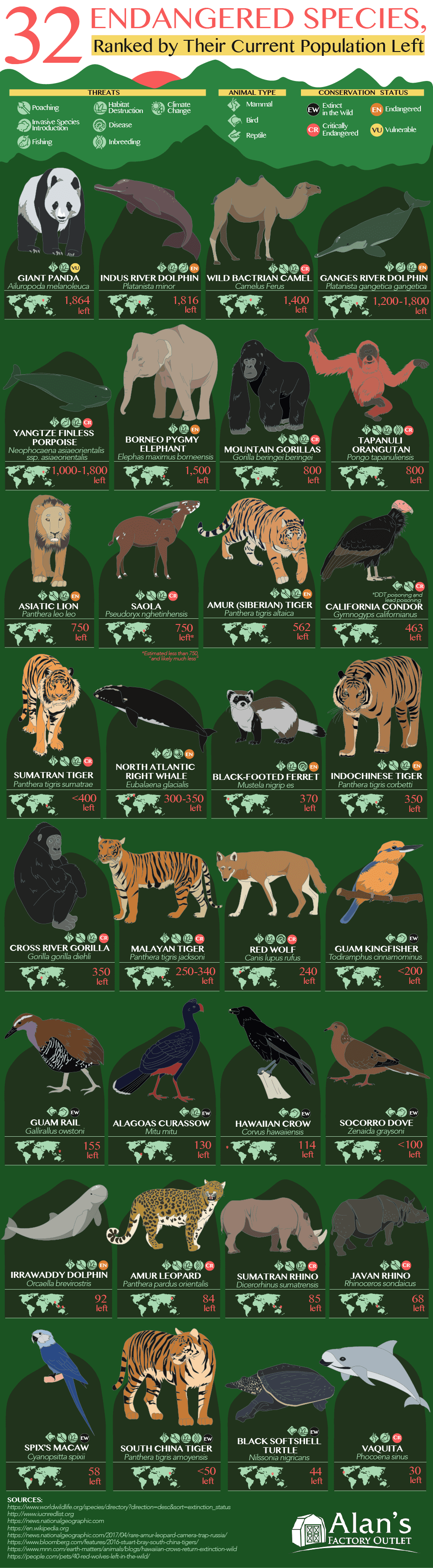 A Cool Guide to Bucket List Endangered Animals 