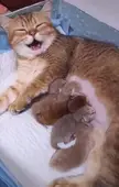 A happy mother.
   