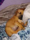 A little sleeping baby ☺️