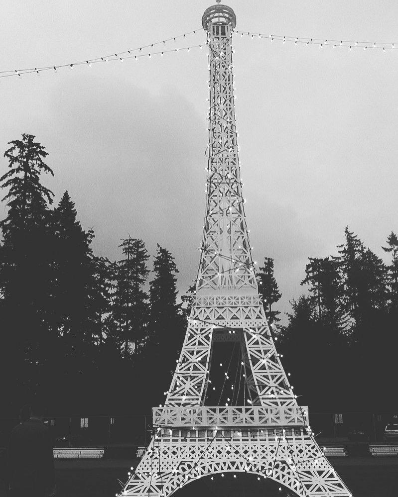 A Pic Of The 36 Ft Eiffel Tower Replica I Built For Our Wedding And Loaned To Deb For A Night 8627