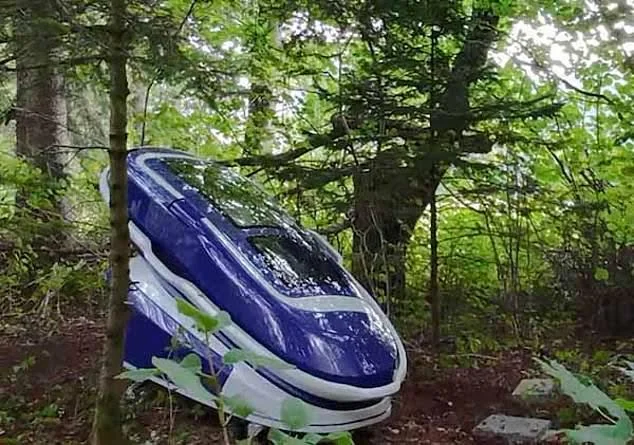A Suicide Pod in remote Swiss Forrest that was illegally used by an American woman