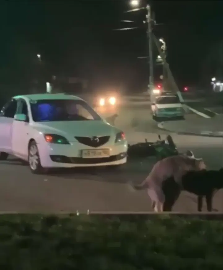 A terrible car vs. motorcycle accident