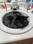 A void in a sink