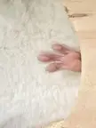 Their little feet look like monkey feet