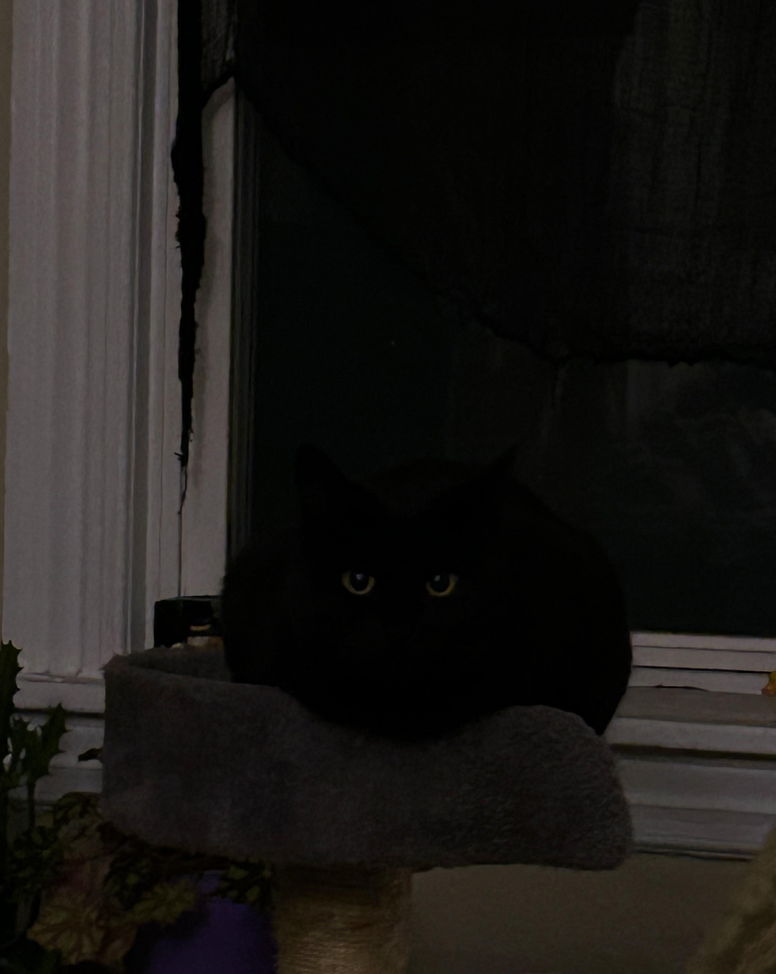 the void peers back