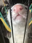 You got games on your phone?!