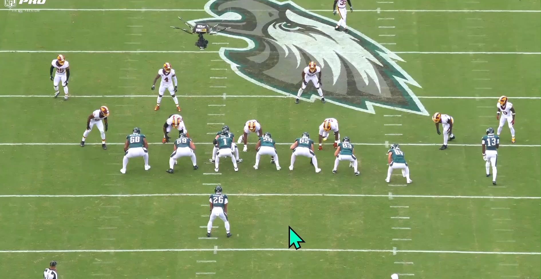 eagles