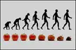 The Evolution Of The Rotten Apple.