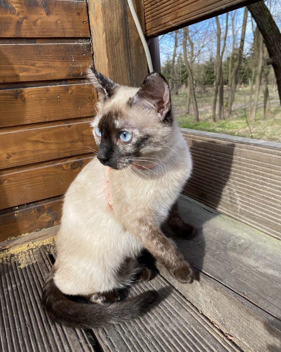 She’s living her best life Scrolller