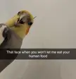 Living his best meme life.