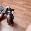 Looking for love ⬆️❤️