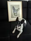 My dog and his portrait