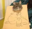 catsinboxes