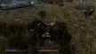 First time playing Skyrim. My follower got bodyslammed by a giant and is now sliding on the ground like this wherever he follows me around.