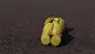 Verne from Over The Hedge