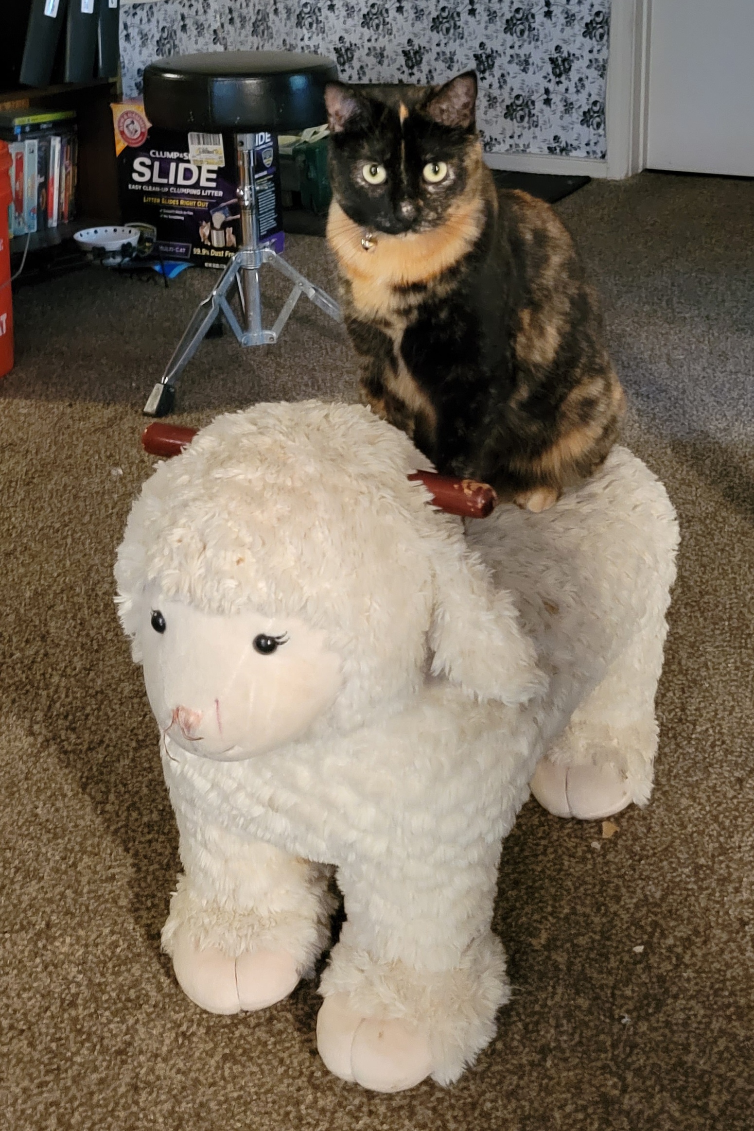 Clue riding into battle on her mighty steed Scrolller Clue riding into battle on her mighty steed Scrolller