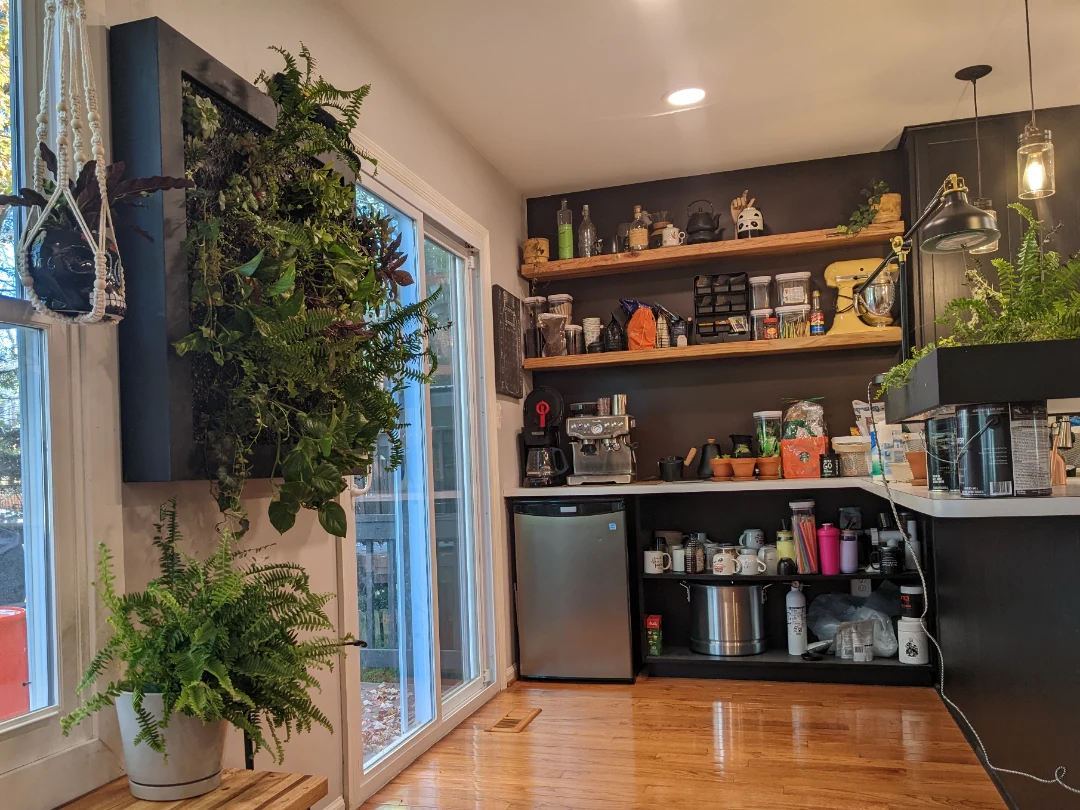 picture of my fiance's coffee corner with new plant wall hanging