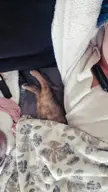 Living her best life 