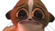 My people I have ran out of memes 