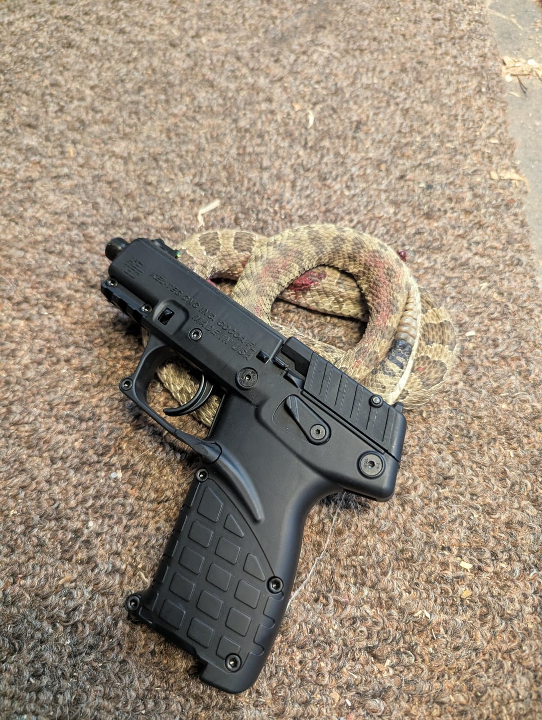 guns