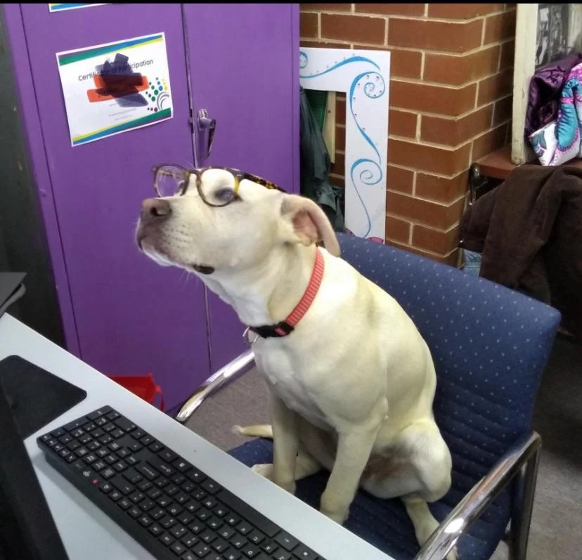 How May I Direct Your Call