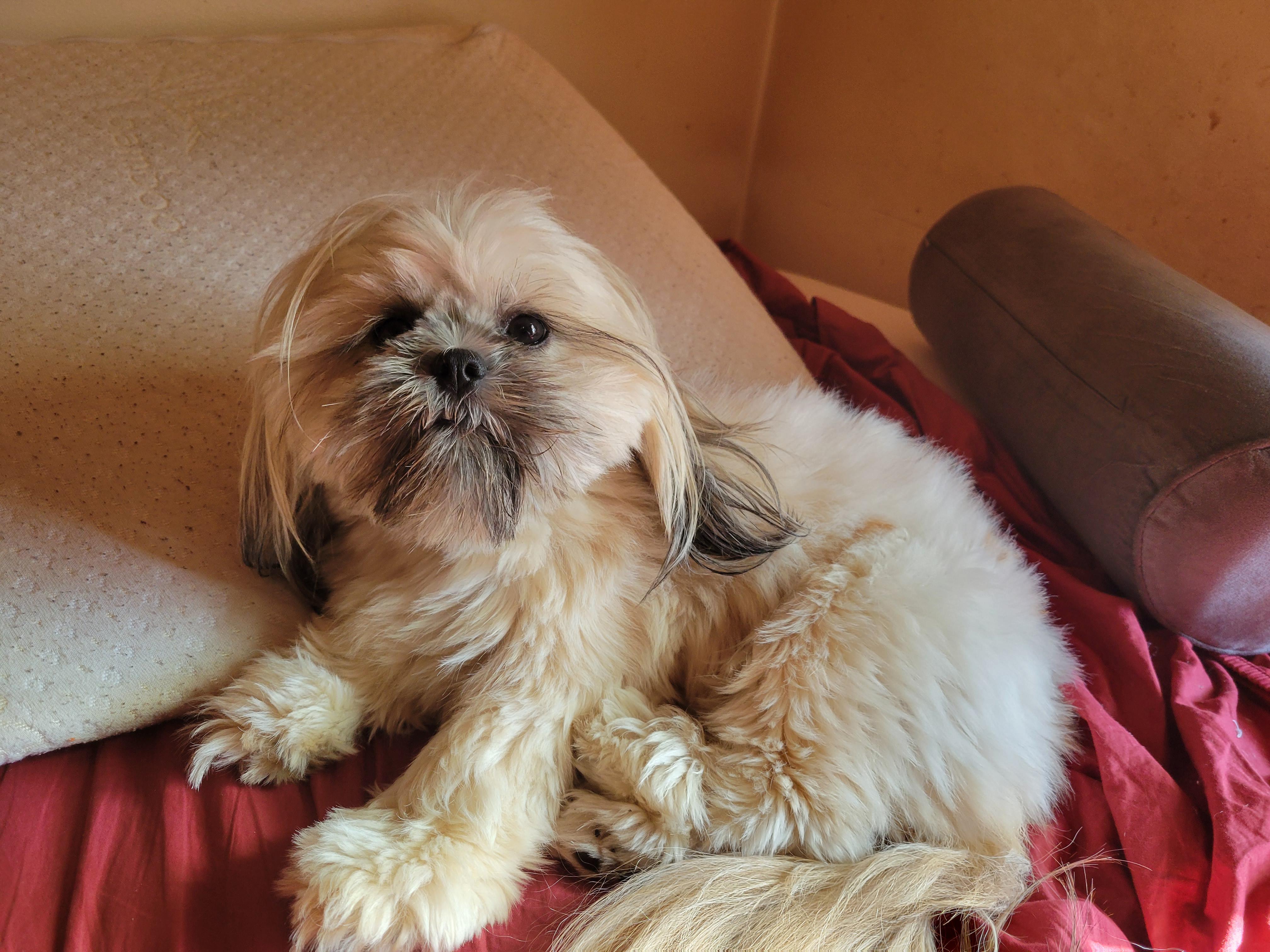 Yes, I pulled the sheets off the bed again...