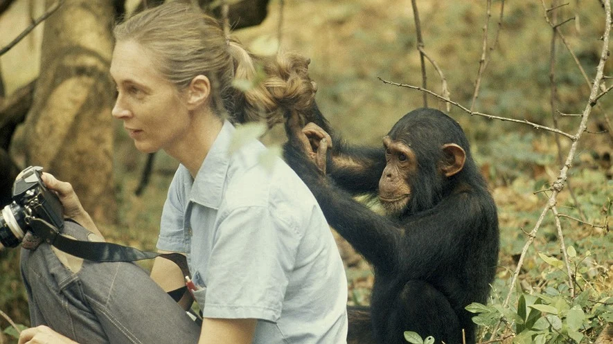 A young Jane Goodall getting her hair done, 1963 | Scrolller