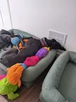 Why are they like this?!