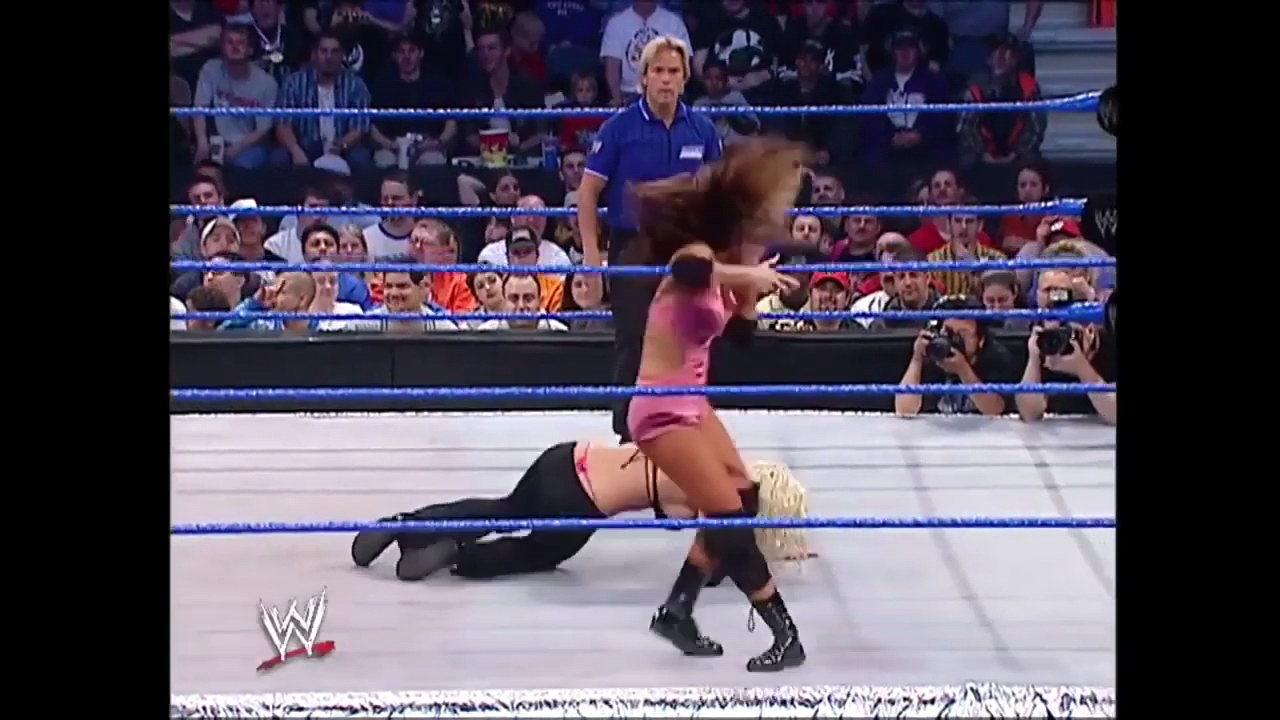 Torrie Wilson in a pink bikini and thong during a WWE wrestling match