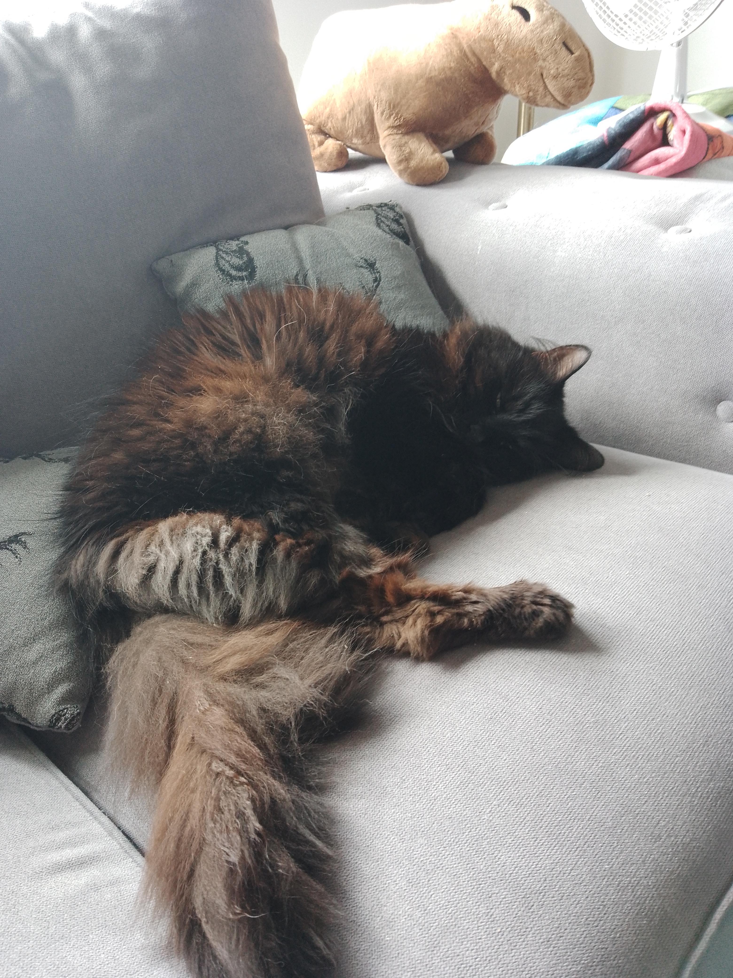 Val, a big hairy mess but he's so cool