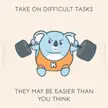Advice from koala