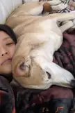 The best heated pillow
