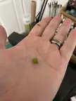 Smallest whole grape I’ve ever seen
