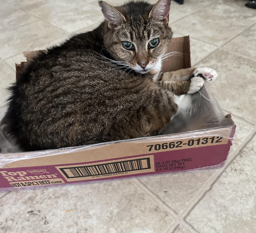 Top ramen is a top tier box. | Scrolller