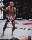 The best knockout in UFC history?
